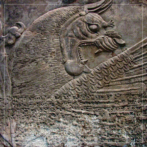 dragon; wings;