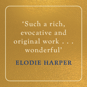 Wonderful - Elodie Harper